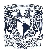 logo unam